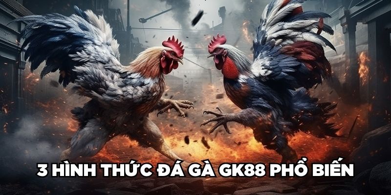 3 hình thức đá gà GK88 phổ biến