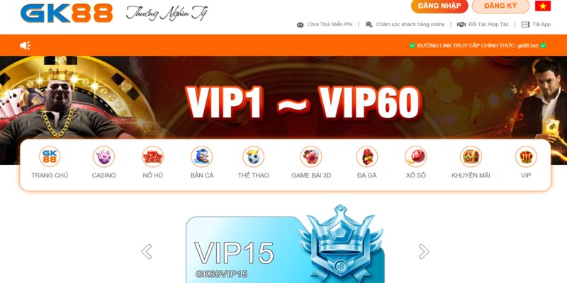 Tổng quát khuyến mãi VIP